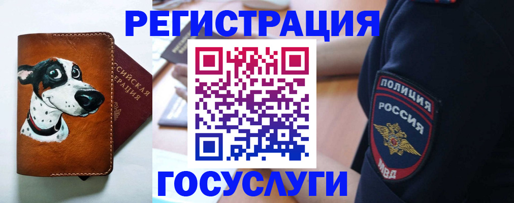 временная регистрация в квартире в Приморско-Ахтарске